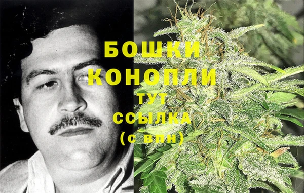 мдпв Волосово