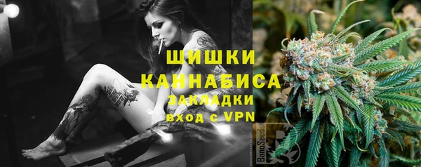 мдпв Волосово