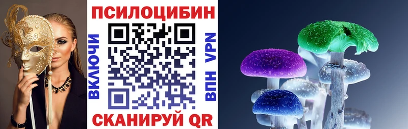 Купить где  Пыть-Ях  Галлюциногенные грибы мицелий 